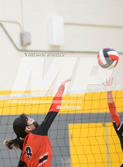 Thumbnail 3 in Red Mesa vs. Cocoino (Epic Tourneys Volleyball Invite) photogallery.