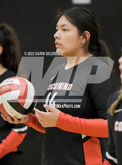 Thumbnail 3 in Red Mesa vs. Cocoino (Epic Tourneys Volleyball Invite) photogallery.