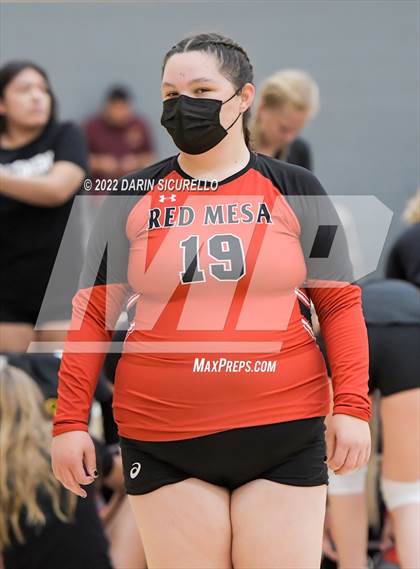 Thumbnail 2 in Red Mesa vs. Cocoino (Epic Tourneys Volleyball Invite) photogallery.