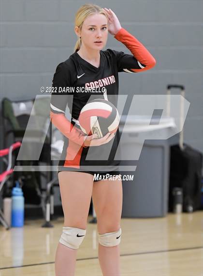 Thumbnail 1 in Red Mesa vs. Cocoino (Epic Tourneys Volleyball Invite) photogallery.
