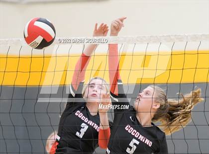 Thumbnail 2 in Red Mesa vs. Cocoino (Epic Tourneys Volleyball Invite) photogallery.