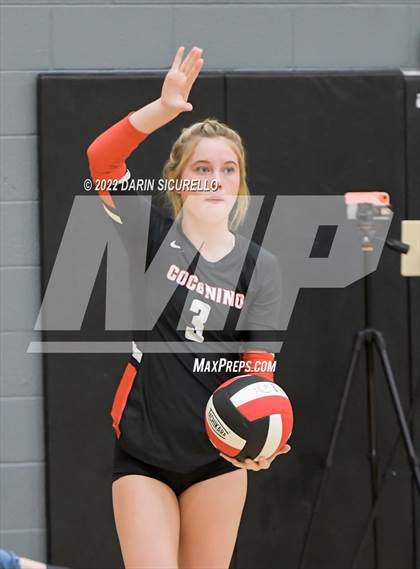 Thumbnail 3 in Red Mesa vs. Cocoino (Epic Tourneys Volleyball Invite) photogallery.