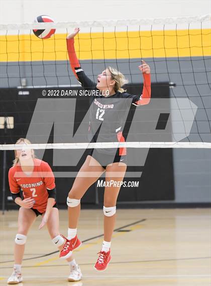 Thumbnail 1 in Red Mesa vs. Cocoino (Epic Tourneys Volleyball Invite) photogallery.
