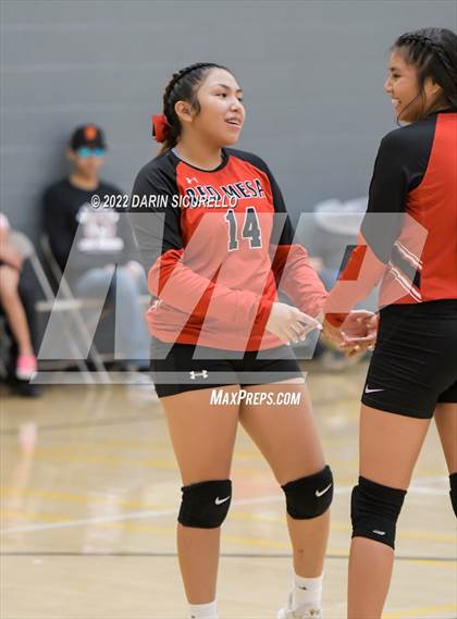 Thumbnail 2 in Red Mesa vs. Cocoino (Epic Tourneys Volleyball Invite) photogallery.