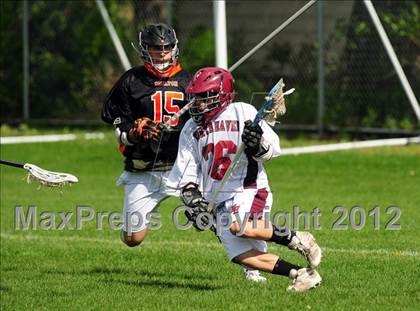 Thumbnail 3 in Shelton @ North Haven photogallery.
