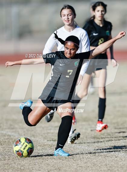 Thumbnail 1 in Hamilton @ Basha photogallery.