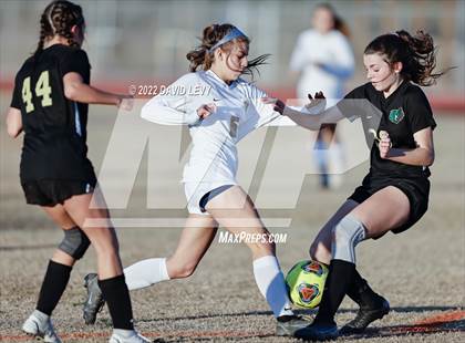 Thumbnail 2 in Hamilton @ Basha photogallery.