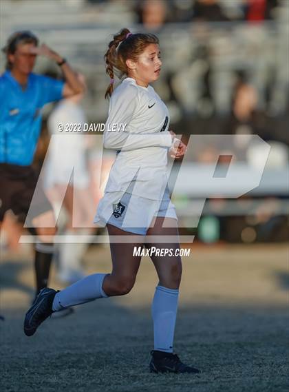 Thumbnail 2 in Hamilton @ Basha photogallery.