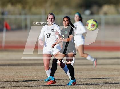 Thumbnail 1 in Hamilton @ Basha photogallery.