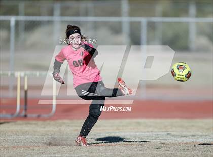 Thumbnail 2 in Hamilton @ Basha photogallery.