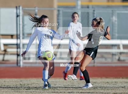 Thumbnail 3 in Hamilton @ Basha photogallery.