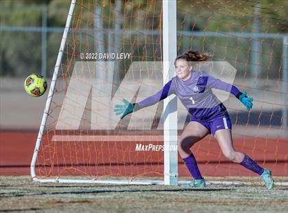 Thumbnail 2 in Hamilton @ Basha photogallery.