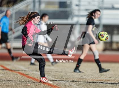 Thumbnail 3 in Hamilton @ Basha photogallery.