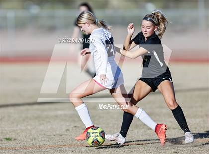 Thumbnail 3 in Hamilton @ Basha photogallery.