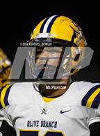 Photo from the gallery "Olive Branch @ South Panola"