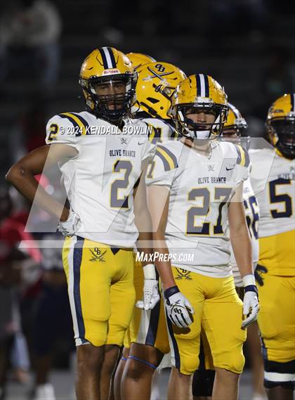 Thumbnail 1 in Olive Branch @ South Panola photogallery.