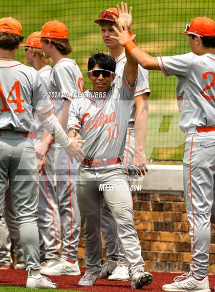 Thumbnail 2 in Celina @ Pleasant Grove (UIL 4A Region II Semifinal) photogallery.