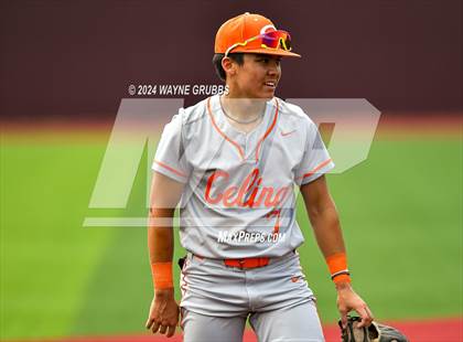 Thumbnail 1 in Celina @ Pleasant Grove (UIL 4A Region II Semifinal) photogallery.
