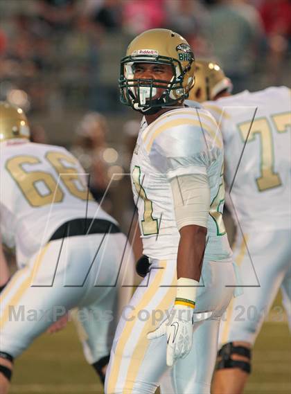 Thumbnail 2 in Birdville @ Richland photogallery.