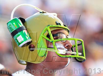 Thumbnail 2 in Birdville @ Richland photogallery.
