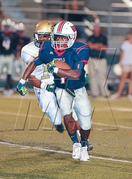Thumbnail 2 in Birdville @ Richland photogallery.