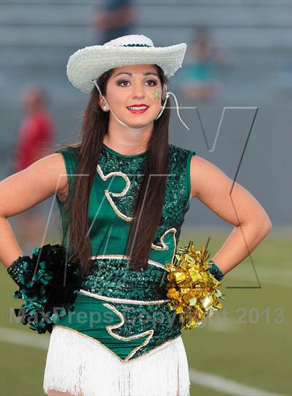 Thumbnail 1 in Birdville @ Richland photogallery.