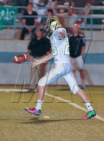 Thumbnail 2 in Birdville @ Richland photogallery.