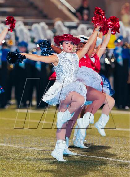 Thumbnail 2 in Birdville @ Richland photogallery.