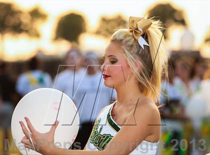 Thumbnail 1 in Birdville @ Richland photogallery.