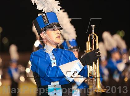Thumbnail 2 in Birdville @ Richland photogallery.