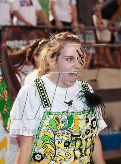 Thumbnail 1 in Birdville @ Richland photogallery.