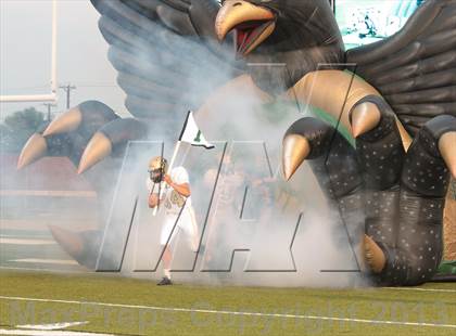 Thumbnail 2 in Birdville @ Richland photogallery.