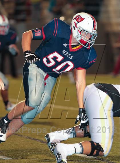 Thumbnail 1 in Birdville @ Richland photogallery.