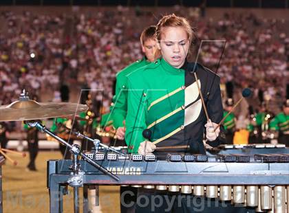 Thumbnail 3 in Birdville @ Richland photogallery.