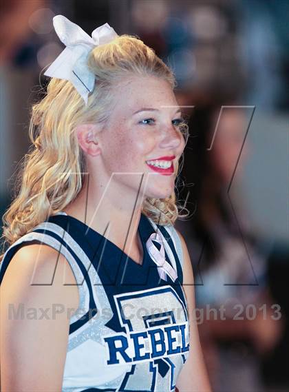Thumbnail 3 in Birdville @ Richland photogallery.