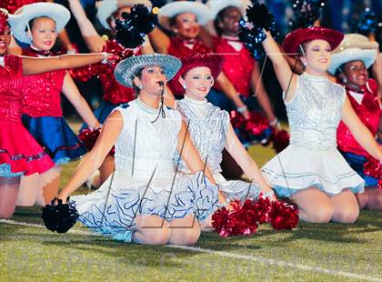 Thumbnail 1 in Birdville @ Richland photogallery.
