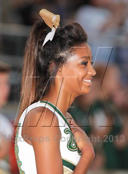 Thumbnail 2 in Birdville @ Richland photogallery.
