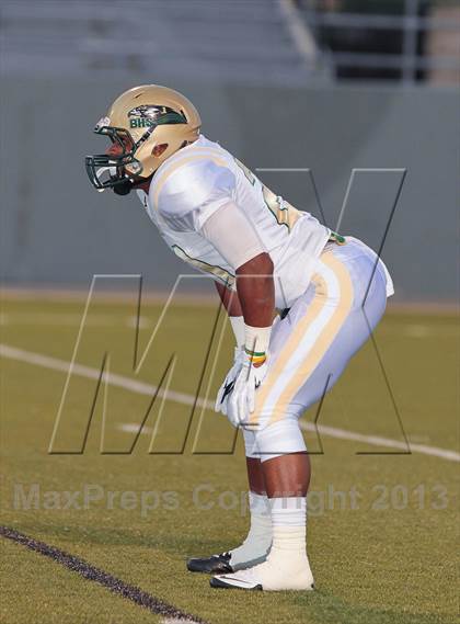 Thumbnail 2 in Birdville @ Richland photogallery.