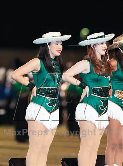 Thumbnail 1 in Birdville @ Richland photogallery.