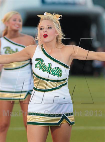 Thumbnail 1 in Birdville @ Richland photogallery.
