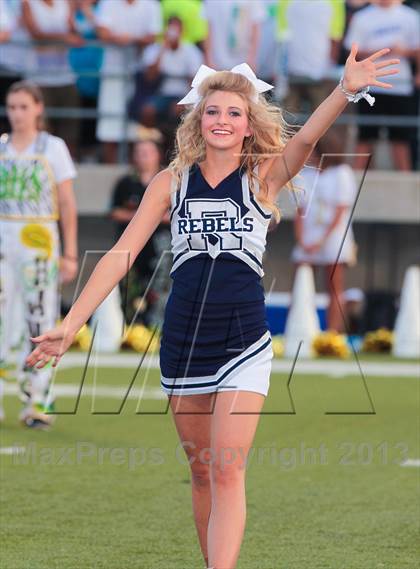 Thumbnail 2 in Birdville @ Richland photogallery.