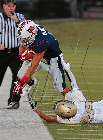 Thumbnail 1 in Birdville @ Richland photogallery.