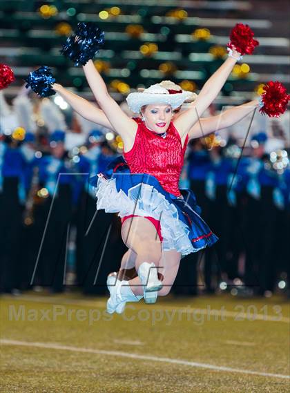 Thumbnail 3 in Birdville @ Richland photogallery.