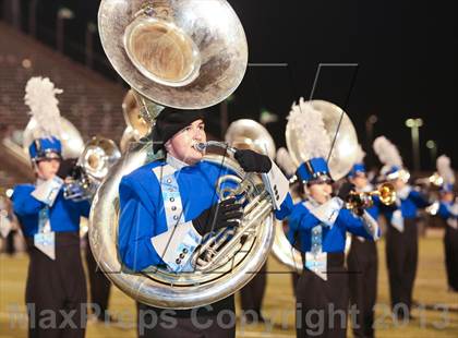 Thumbnail 1 in Birdville @ Richland photogallery.