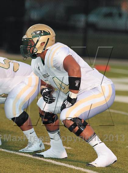 Thumbnail 1 in Birdville @ Richland photogallery.