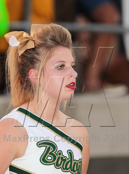 Thumbnail 2 in Birdville @ Richland photogallery.