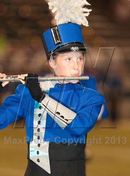 Thumbnail 2 in Birdville @ Richland photogallery.