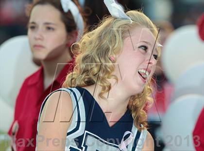 Thumbnail 2 in Birdville @ Richland photogallery.