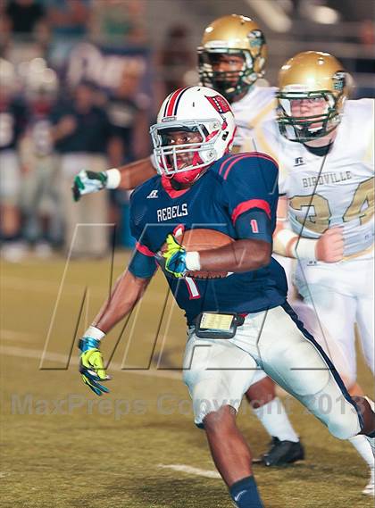Thumbnail 3 in Birdville @ Richland photogallery.