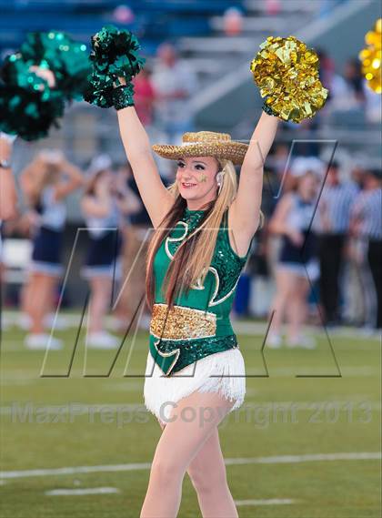 Thumbnail 2 in Birdville @ Richland photogallery.